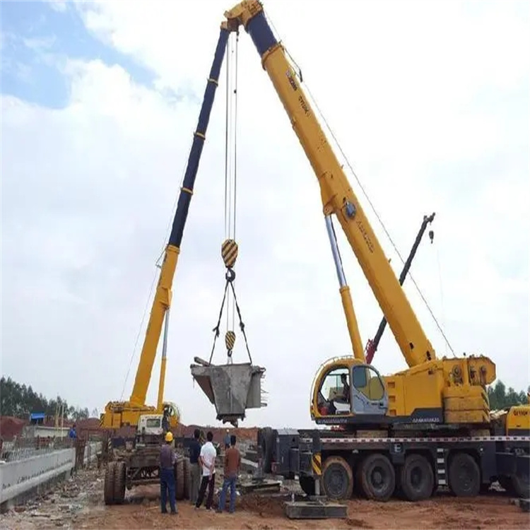 枞阳小型吊机出租电话|厂房设备吊装方案|24小时服务覆盖